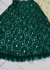 Green Embellished Lehenga Skirt