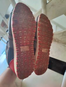 Lakhani Armaan Sports Shoes