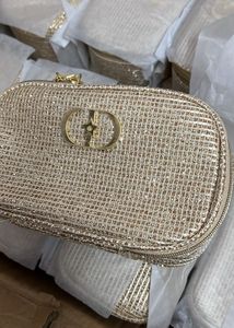 dior Gold Pouch