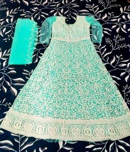 Women's Mint Green Chikankari Ethnic Long Gown - P