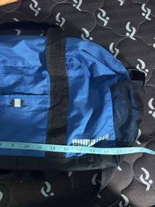 Puma Blue &amp; Grey Gym/Travel Bag