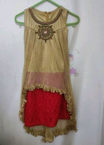Mesh Dress /Top
