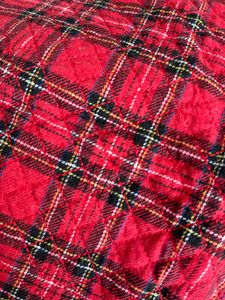 Cozy Red Plaid Placemat