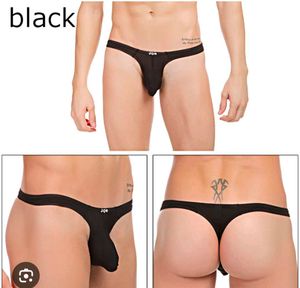 JQK Black Brief