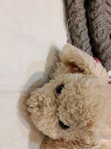 Adorable Stuffed Animal Backpack
