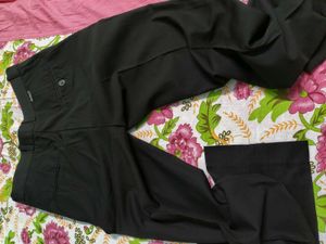 Formal Pant