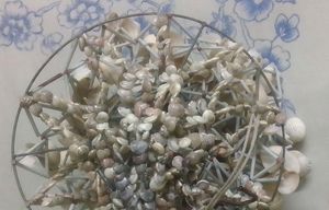 Natural Sea Shell Wall Hanging/ Jhoomer