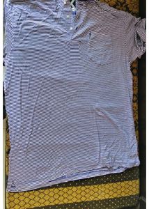 Striped Polo Shirt