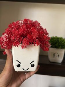 Cute Face Potted Plants (Set of 3)