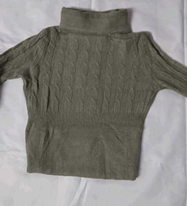 Turtle Neck Woolen Top