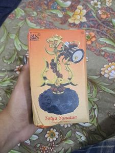 Satya Sanatan Om Shivling with Rudraksha
