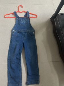 Cute Denim Overalls