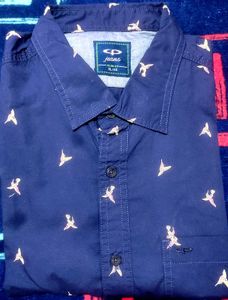 Amazing Stylish Colour plus Brand Men's Blue Bird
