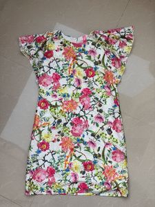 Floral Print Mini Dress