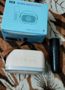 Karaoke Speaker