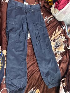 Stylish Navy Cargo Pants
