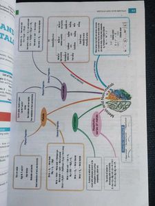 Oswaal Books Class 10 Science Question Bank