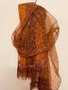 Last Price Designer Lehanga Saree Dress