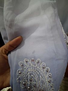 Elegant  Chikankari Kurta