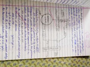 Class 11 Biology Handwritten Notes