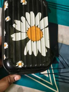 Daisy Print Hard Case Clutch Bag