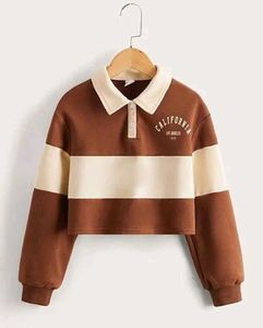 Brown & Beige Color Korean Crop Top