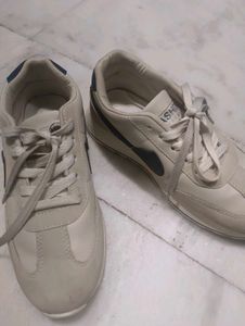 Stylish Cream Sneakers