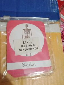 Flash Cards Each System