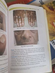 BDC General Anatomy Handbook