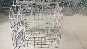 Parrot Cage ( Pijara)