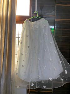 Beautiful Embroidered Skirt