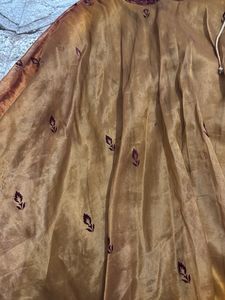 Golden Embroidered Ethnic Skirt