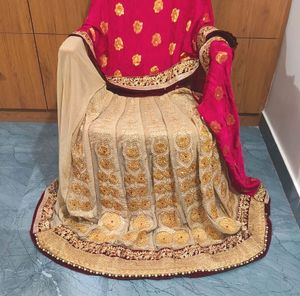 Elegant Embroidered Lehenga saree
