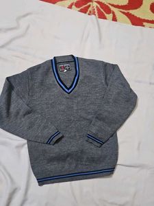 Grey V-Neck Sweater with Blue Stripes