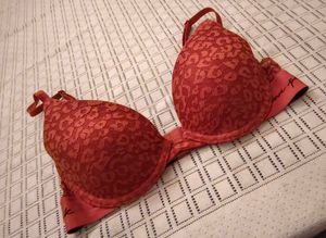 Red Lace Bra