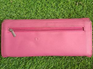 Purse/ Clutch