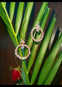 Western Korean Earring Design