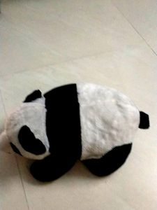 Pretty Panda