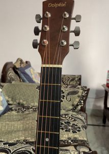 Acoustic Guitar