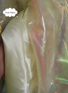 Iridescent Ethnic Gown