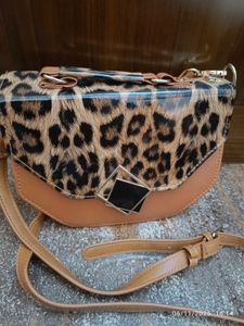 new Leopard Print Crossbody Bag