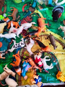 Kids Animal Play Set