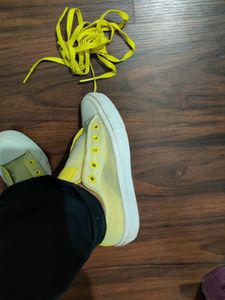 New Authentic CONVERSE  Chuck Taylor