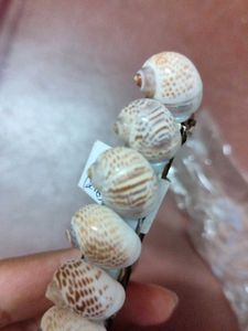 Shell Hair clip
