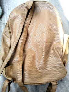 Stylish Shaybags Backpack