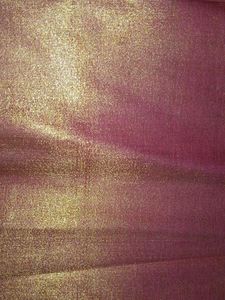 Shimmering Ethnic blouse material