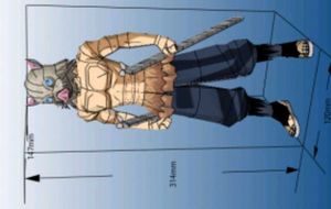 Inosuke anime  Action figure , Demon slayer