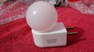 0.5 W Decorative Night Lamp..