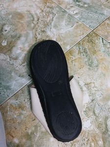 Slipper Sponge