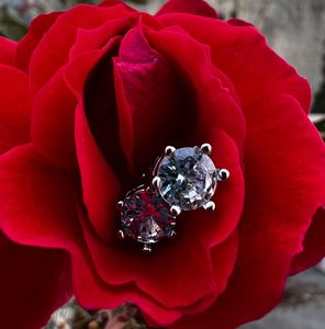 Elegant Round-Cut Stud Earrings